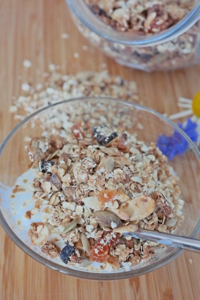 Homemade granola