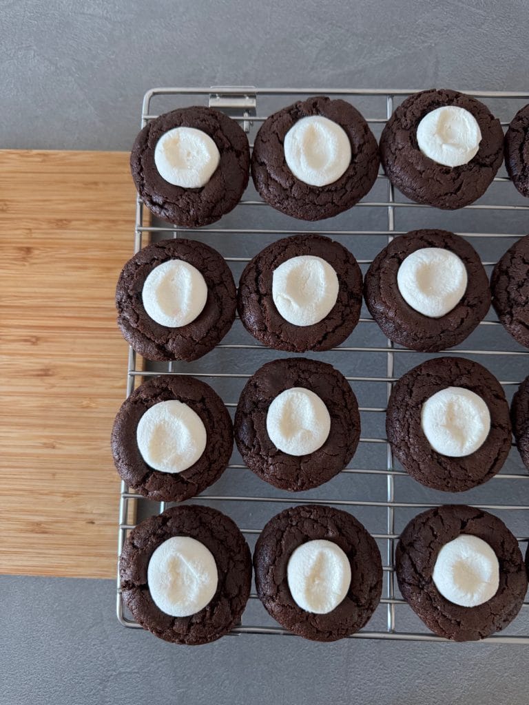 Cookies with hot cocoa and marshmallows
