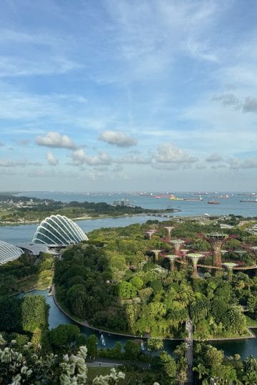 Singapore, Durian buildings and Gardens by the Bay