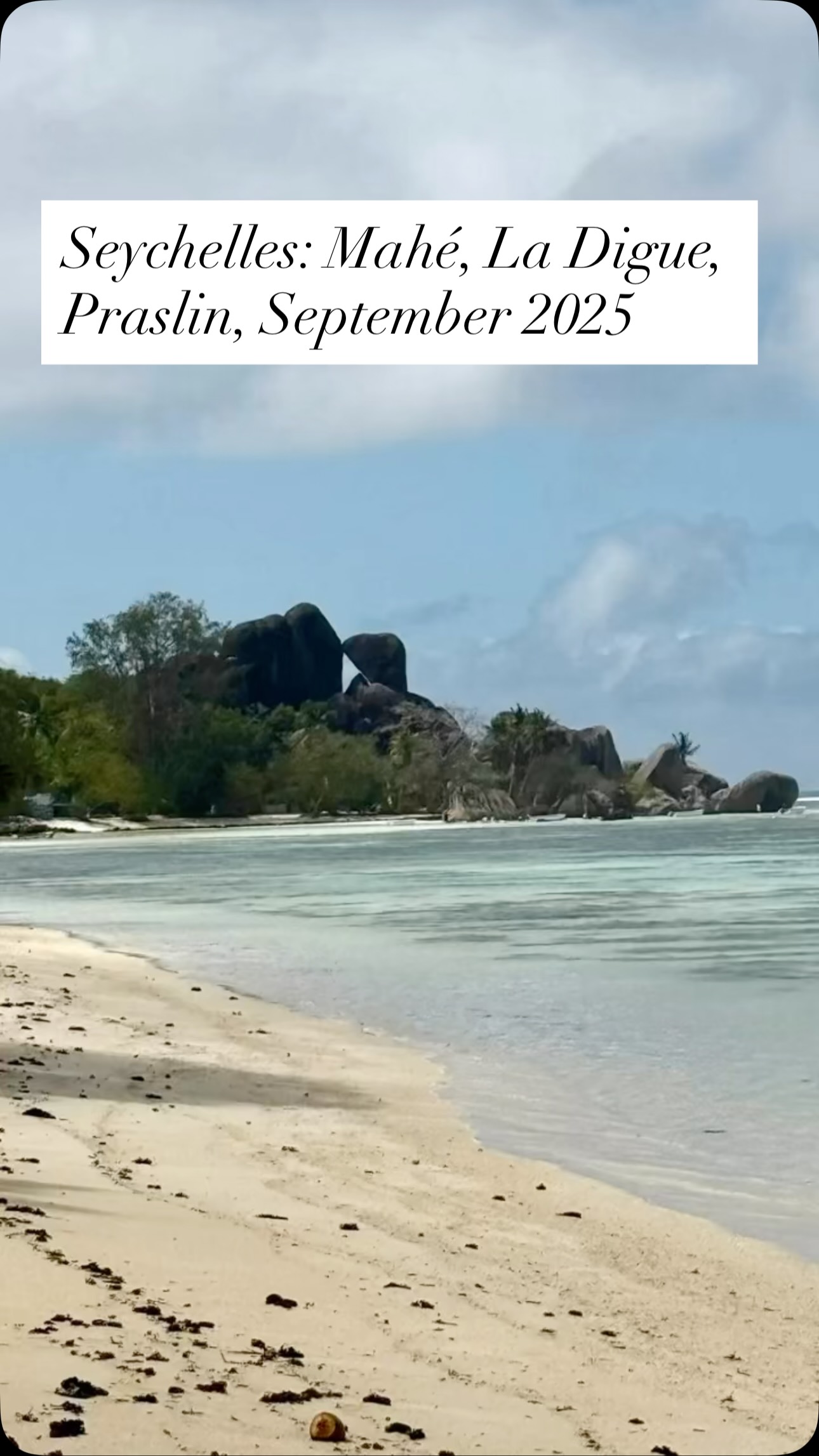 ✨Discover the Paradise of Seychelles 🇸🇨 🌊🏖️🏝️
New travel blog post, link in profile 👆
.
.
.
.
#travel #seychelles #seychellesislands #travelphotography