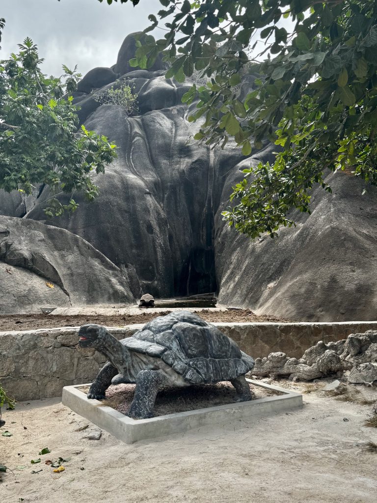 Seychelles La Digue Giant Turtles L'Union Estate Farm