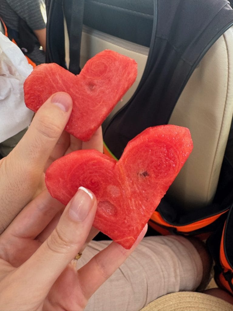 Heart-shaped watermelon on the boat back from Bamboo Island, Phuket, Thailand