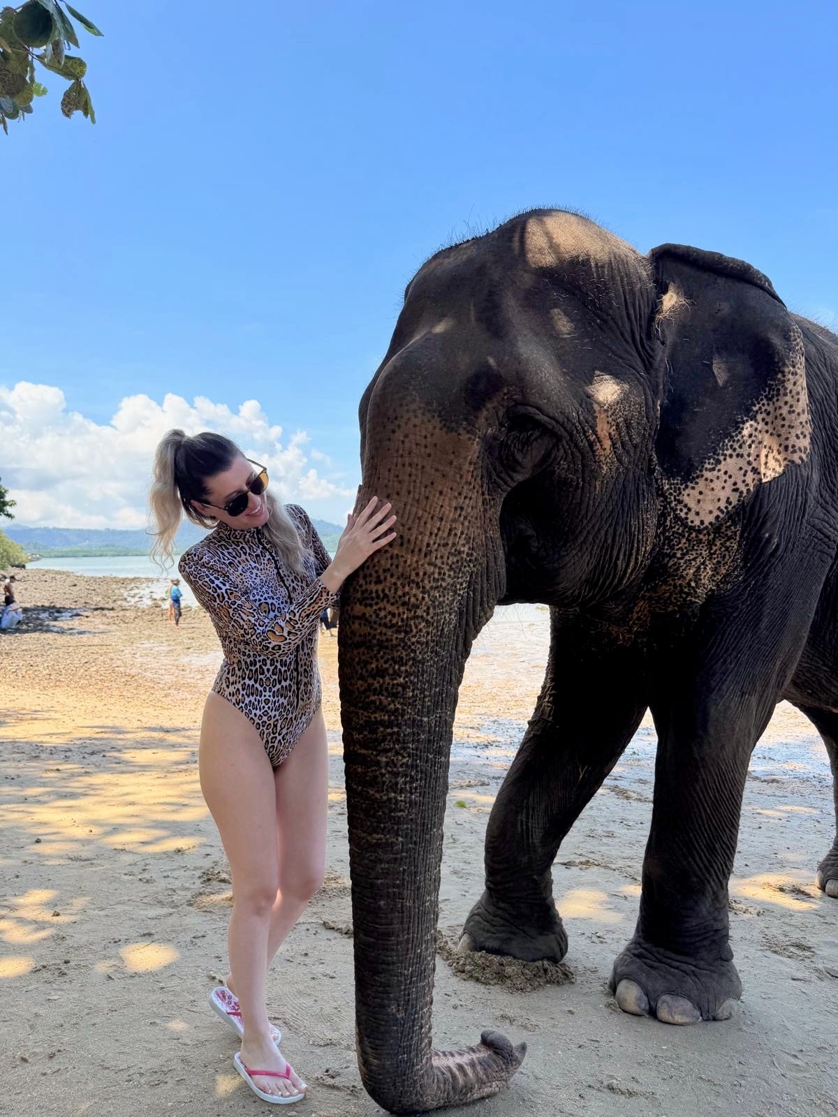 Petting the Elephant, on the Beach, Phuket, Thailand