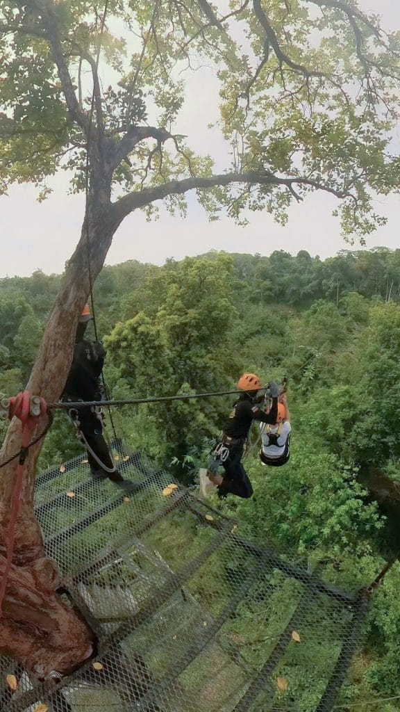 Ziplining through the jungle, Phuket, Thailand