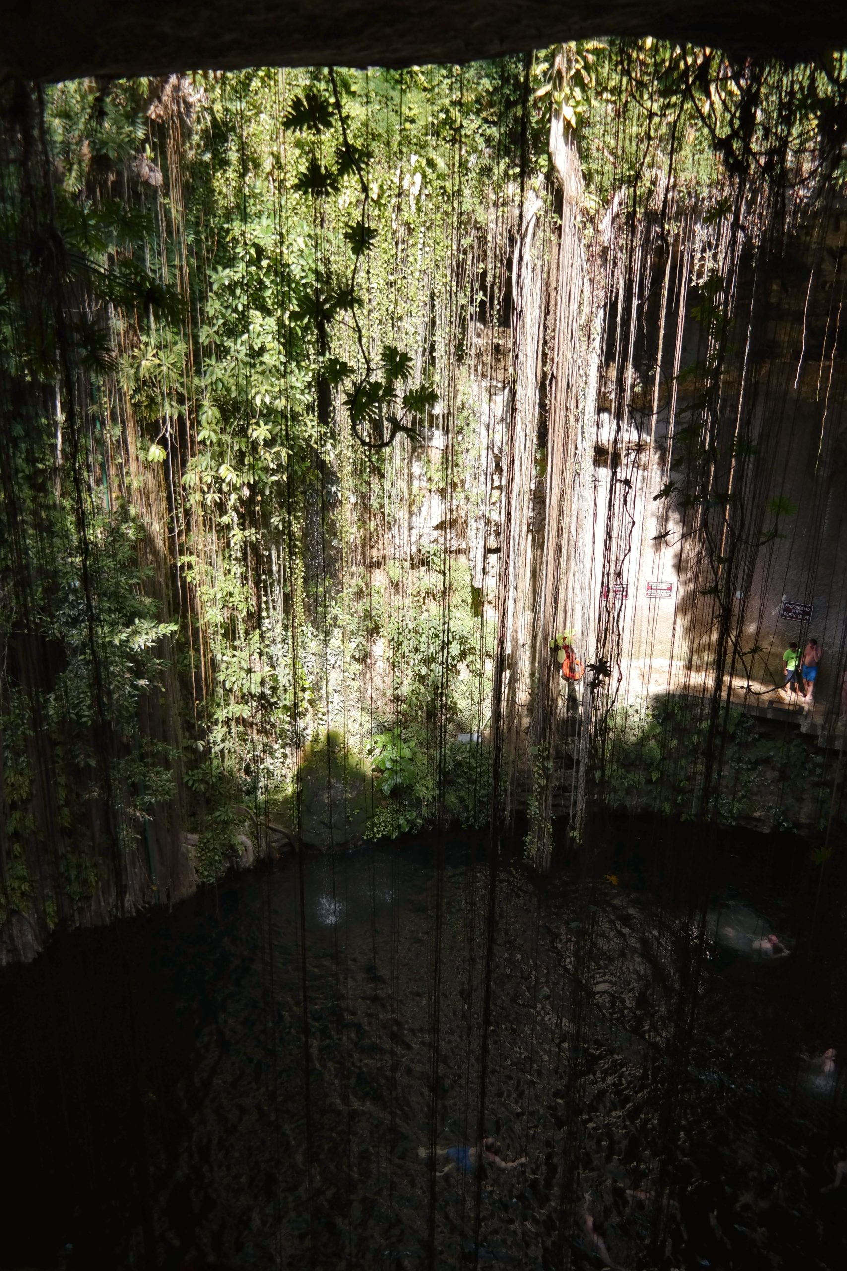Atmosfera magica si liane verzi la Cenote Ik Kil