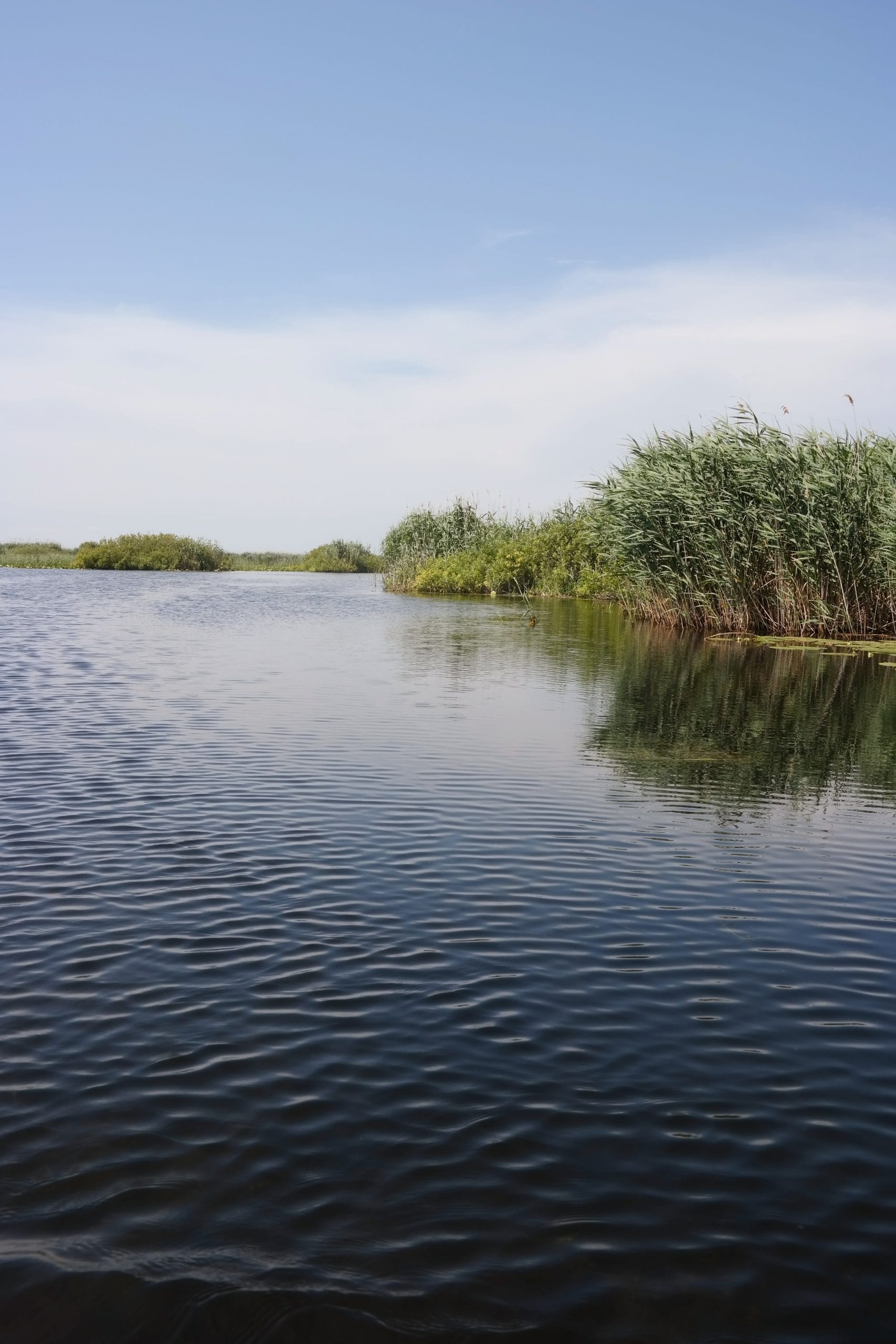 Canal din Delta Dunarii cu stuf