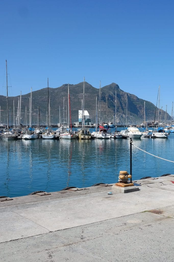 O marina plina cu barci si iahturi ancorate in port, cu un chei de beton in prim-plan si munti masivi in fundal in Cape Town.