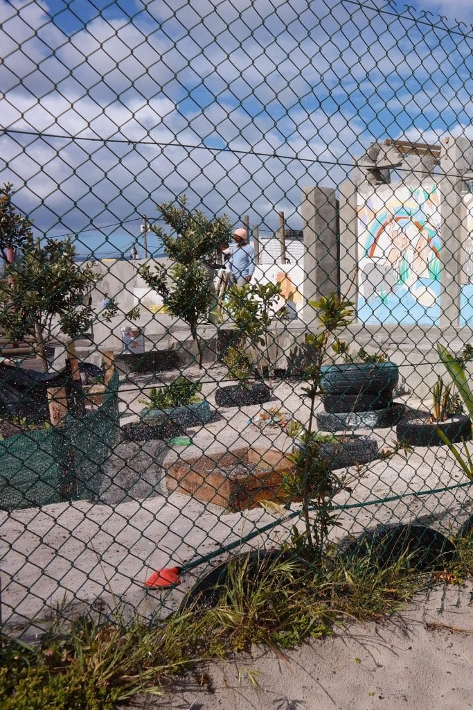 Cladire in constructie cu picturi murale colorate reprezentand animale, destinata unei gradinite dintr-un proiect de voluntariat in Cape Town, vizibila in spatele unui gard de sarma cu plante crescute in anvelope reciclate.