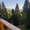 Priveliște panoramică spre munți și pădure de brazi de pe balconul de lemn al cabanei Străjerii Verzi din Șirnea
