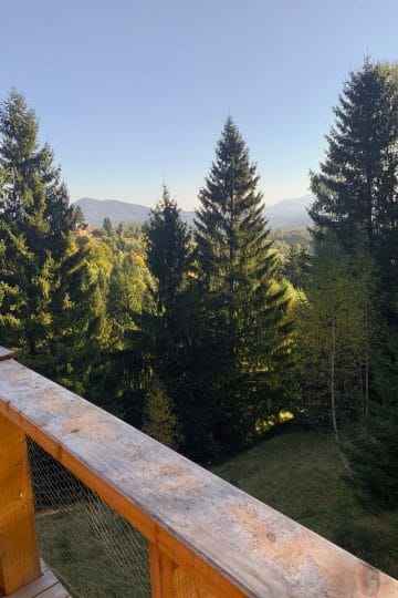 Priveliște panoramică spre munți și pădure de brazi de pe balconul de lemn al cabanei Străjerii Verzi din Șirnea