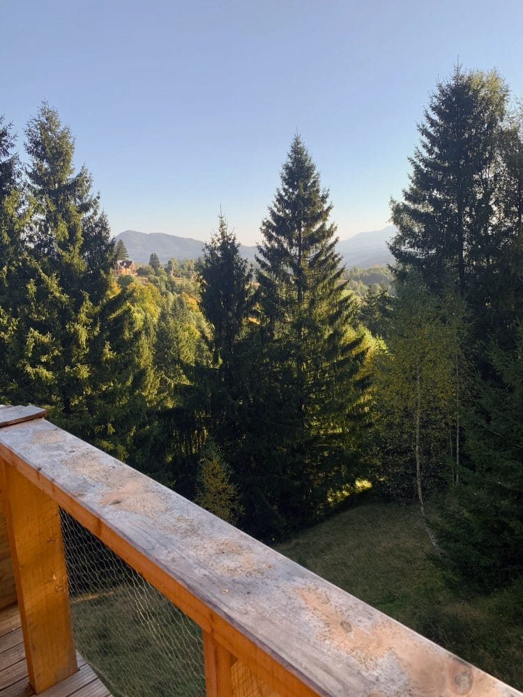 Priveliște panoramică spre munți și pădure de brazi de pe balconul de lemn al cabanei Străjerii Verzi din Șirnea
