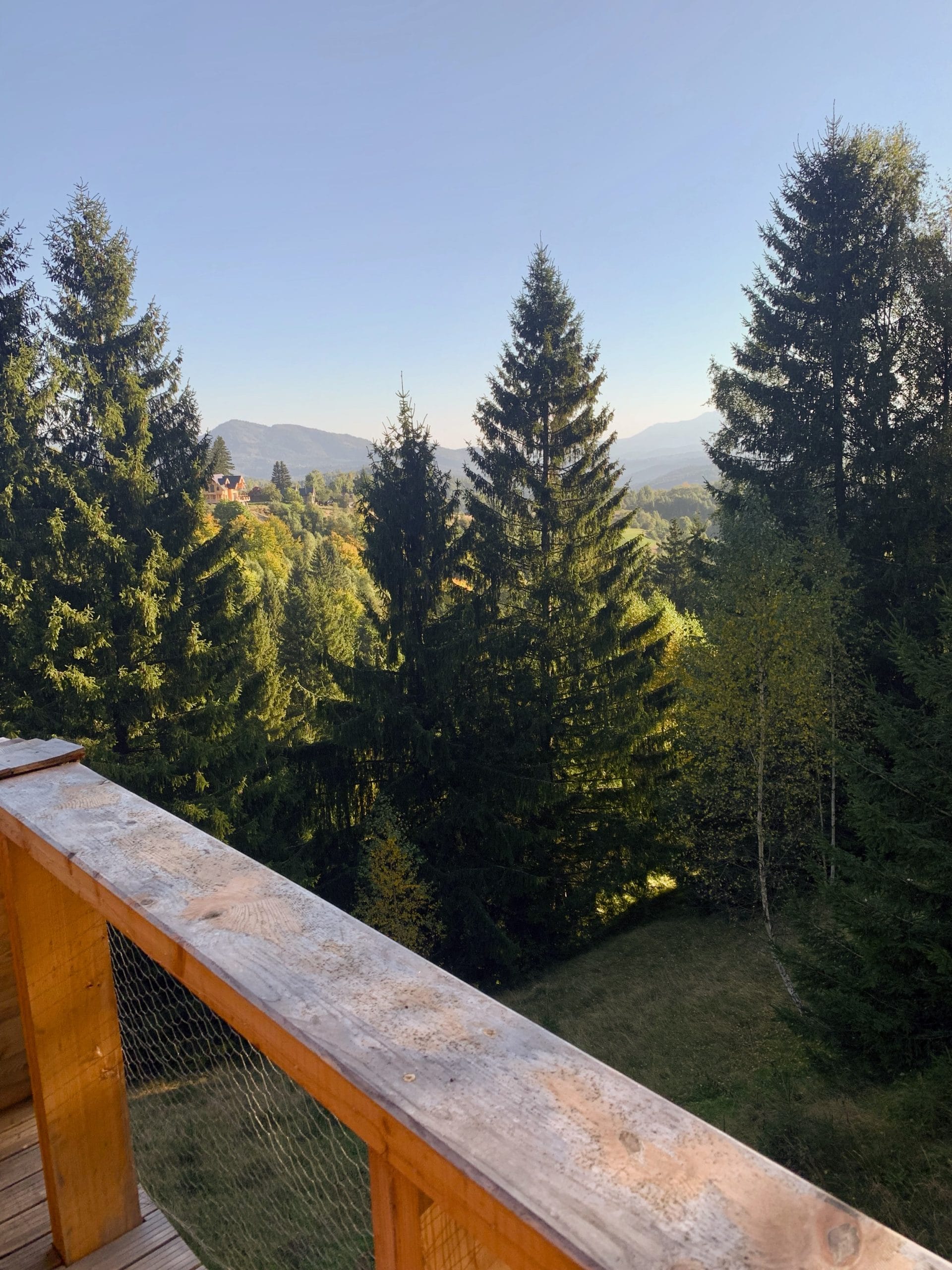 Priveliște panoramică spre munți și pădure de brazi de pe balconul de lemn al cabanei Străjerii Verzi din Șirnea