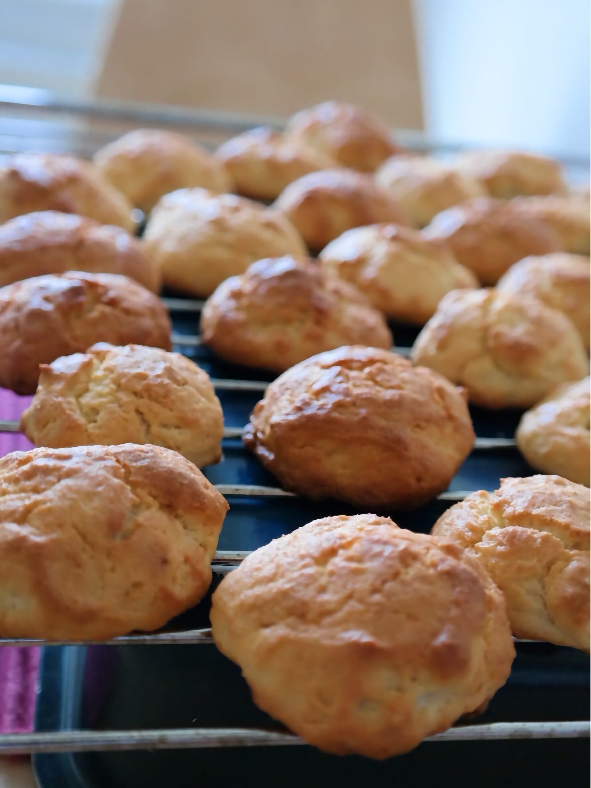Biscuiți cu ricotta aurii, proaspăt scoși din cuptor, așezați la răcit pe un grătar metalic, deasupra unei tăvi