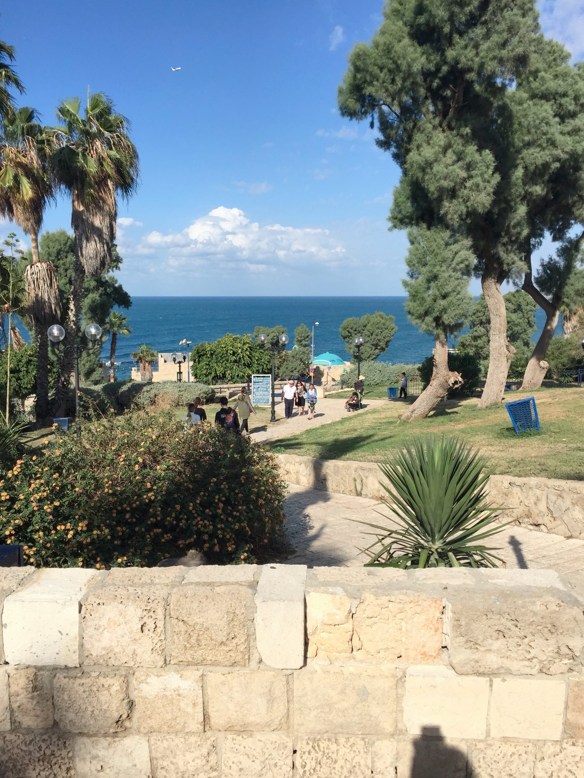Alei din piatră, palmieri și arbuști &icirc;nfloriți &icirc;n parcul Abrasha din Jaffa, cu Marea Mediterană &icirc;n fundal