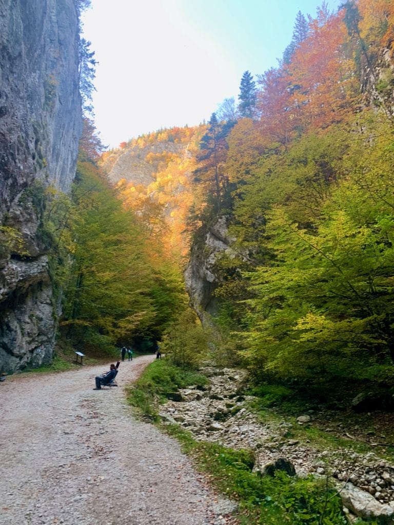Pădure în culori de toamnă și pereți de stâncă în Prăpăstiile Zărneștiului