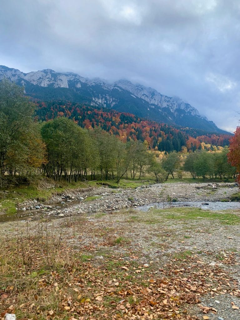 Creasta Pietrei Craiului, pădure colorată de toamnă și râul Bârsa la Plaiul Foii