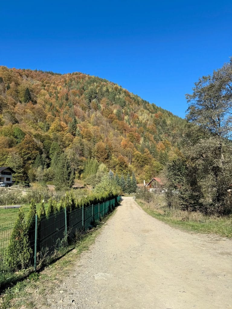 Drum de țară la Plaiul Foii, cu dealuri acoperite de pădure în culori de toamnă