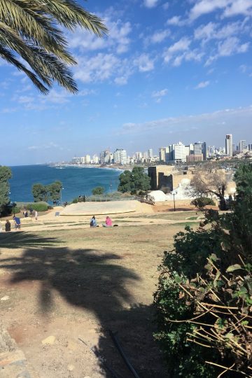 Palmieri și peluză în parcul Abrasha din Jaffa, cu marea și clădirile din Tel Aviv în fundal
