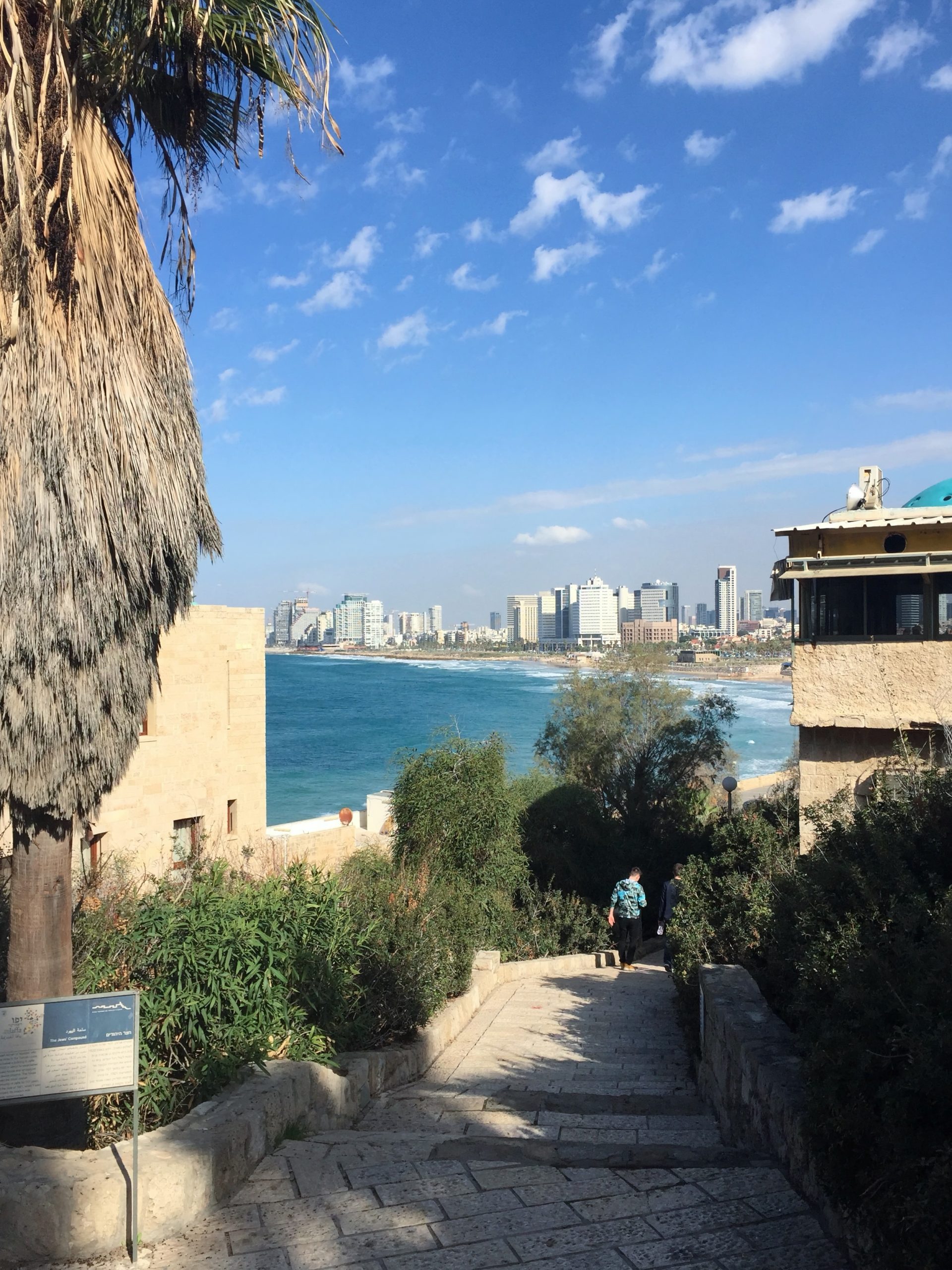 Trepte din piatră &icirc;ntre vegetație și clădiri din Jaffa, cu marea și clădirile &icirc;nalte din Tel Aviv &icirc;n depărtare