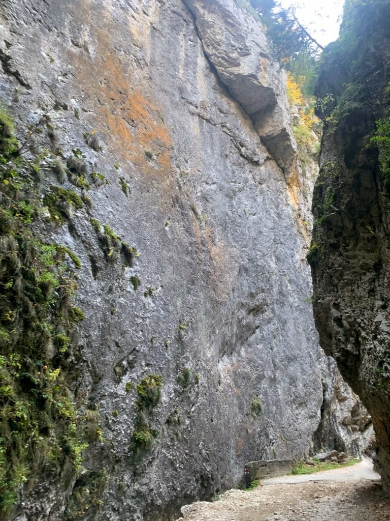 Pereți înalți de calcar de-a lungul drumului prin Prăpăstiile Zărneștiului