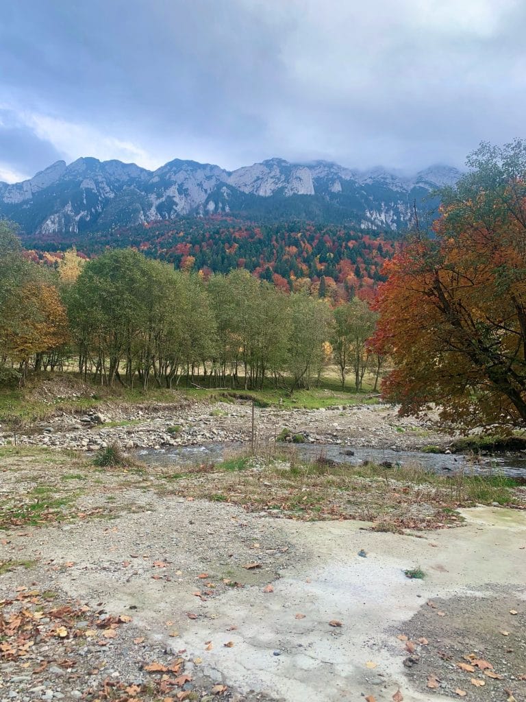 Creasta Pietrei Craiului deasupra pădurii în culori de toamnă, văzută de la Plaiul Foii