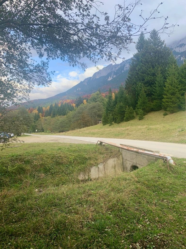 Vedere spre Piatra Craiului și pădurea în culori de toamnă de la Plaiul Foii