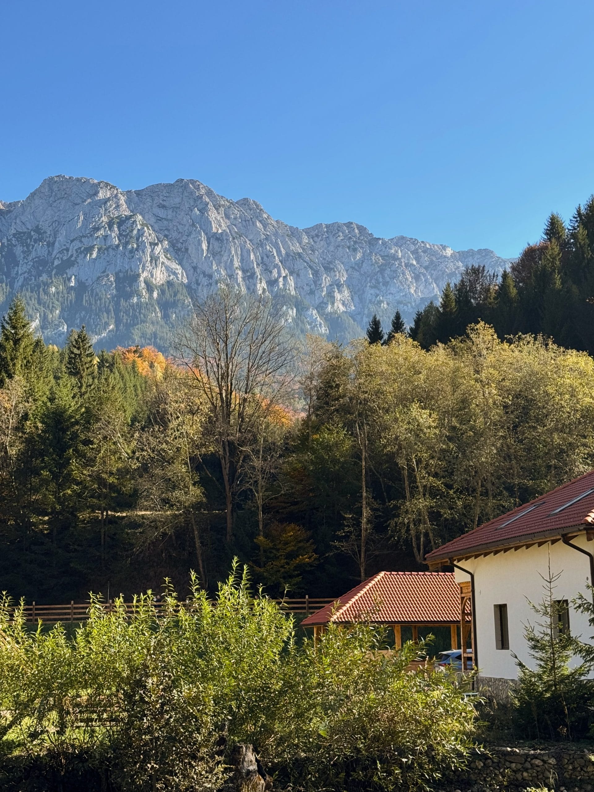 Masivul Piatra Craiului văzut de la Plaiul Foii, într-o zi senină de toamnă