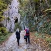 Plimbare de toamnă printre pereții de stâncă din Prăpăstiile Zărneștiului